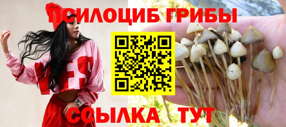Галлюциногенные грибы прущие грибы  Псилоцибиновые грибы мицелий  Хасавюрт  Вход с VPN 