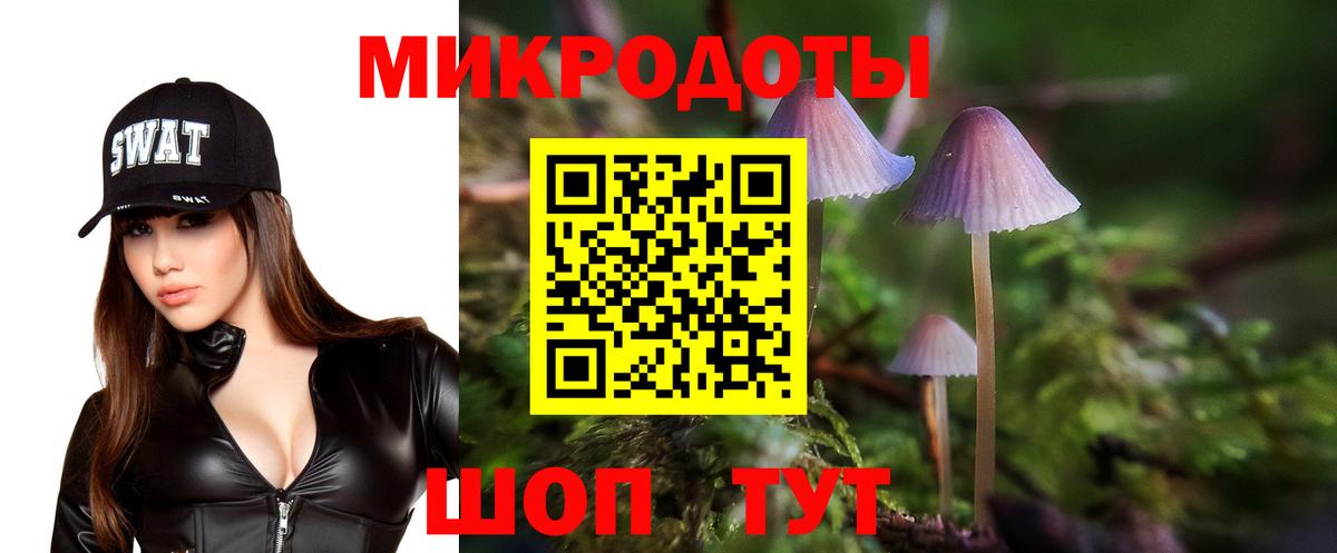 Галлюциногенные грибы Psilocybe Хасавюрт